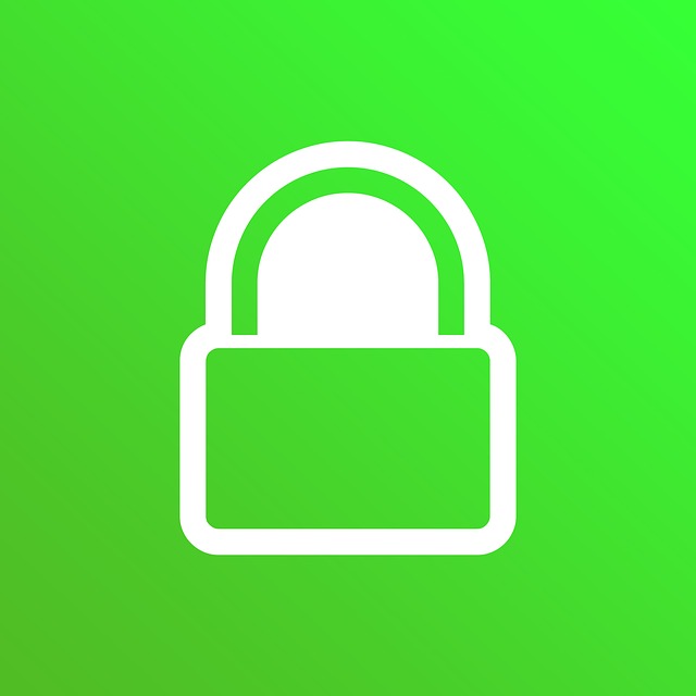 SSL certificate protection for an Atlanta business website